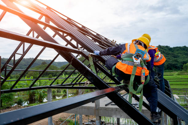 Professional Roofing Contractor in Murphysboro, IL