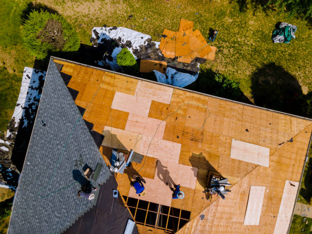 Best Best Roofing Contractors  in Murphysboro, IL