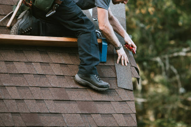 Best New Roof Installation  in Murphysboro, IL