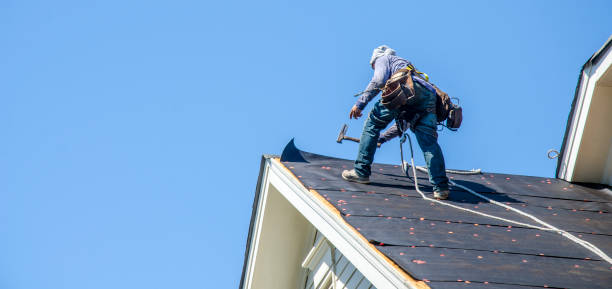 Professional Roofing Contractor in Murphysboro, IL